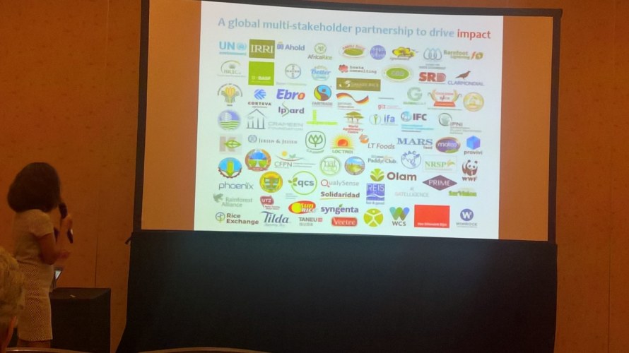 Les partenaires de la Plate-forme pour un riz durable,SRP, comprennent plus de 80 agences gouvernementales, instituts de recherche, négociants en riz et ONG environnementales et sociales..